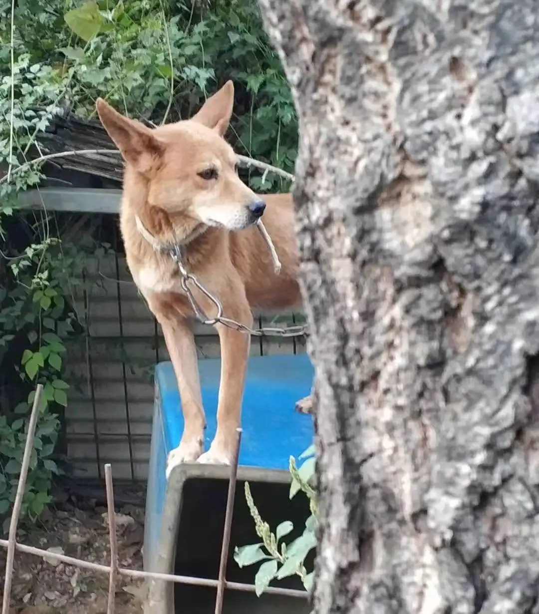 一次郊游
